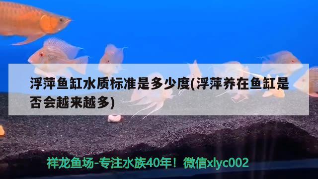 浮萍魚缸水質(zhì)標準是多少度(浮萍養(yǎng)在魚缸是否會越來越多)