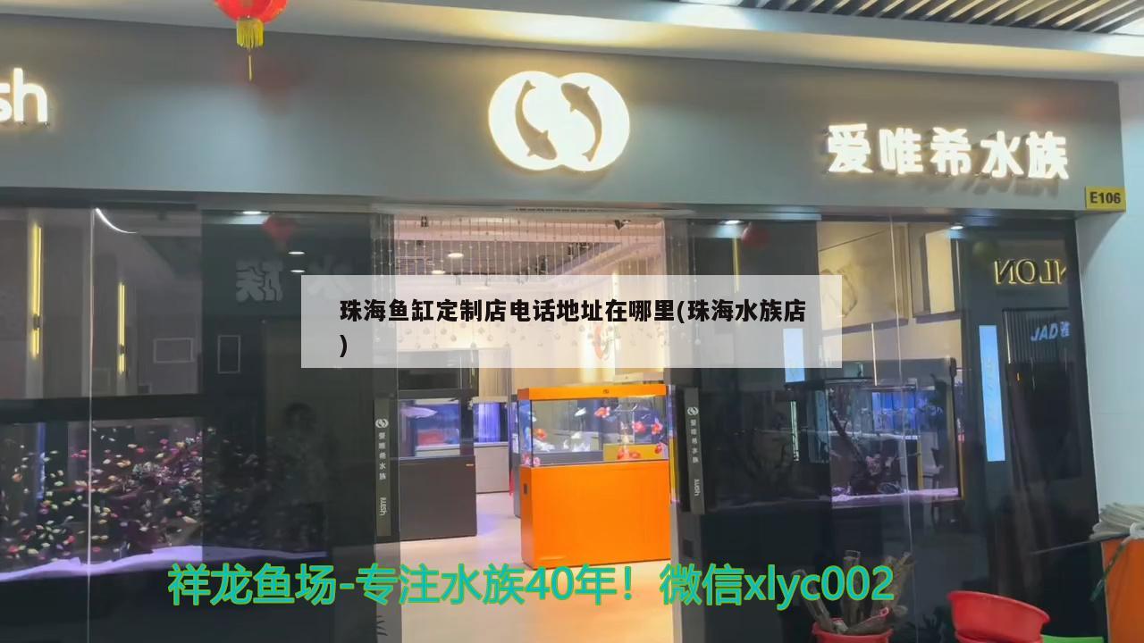 珠海魚缸定制店電話地址在哪里(珠海水族店) 祥龍赫舞紅龍魚