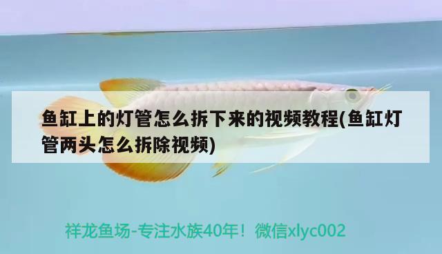 魚缸上的燈管怎么拆下來的視頻教程(魚缸燈管兩頭怎么拆除視頻)