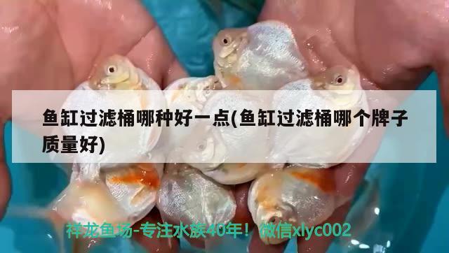 魚缸過濾桶哪種好一點(diǎn)(魚缸過濾桶哪個(gè)牌子質(zhì)量好) 九鼎魚缸