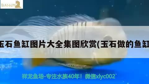 玉石魚缸圖片大全集圖欣賞(玉石做的魚缸)