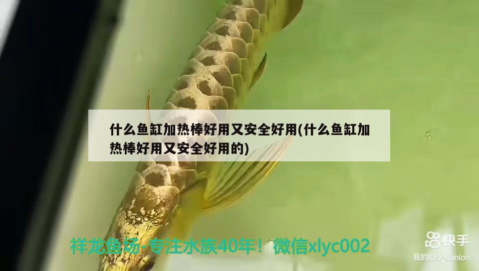 什么魚(yú)缸加熱棒好用又安全好用(什么魚(yú)缸加熱棒好用又安全好用的) 羅漢魚(yú)批發(fā)