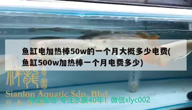 魚缸電加熱棒50w的一個月大概多少電費(魚缸500w加熱棒一個月電費多少) 青龍魚