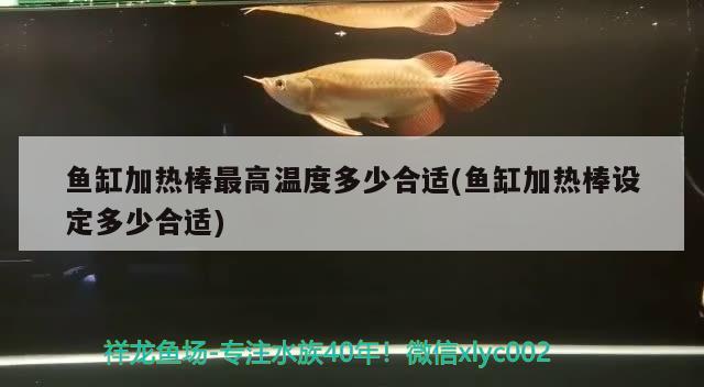 魚缸加熱棒最高溫度多少合適(魚缸加熱棒設(shè)定多少合適)