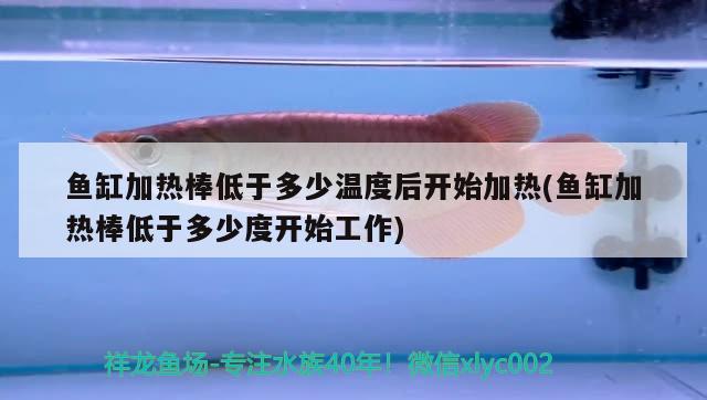 魚缸加熱棒低于多少溫度后開始加熱(魚缸加熱棒低于多少度開始工作)