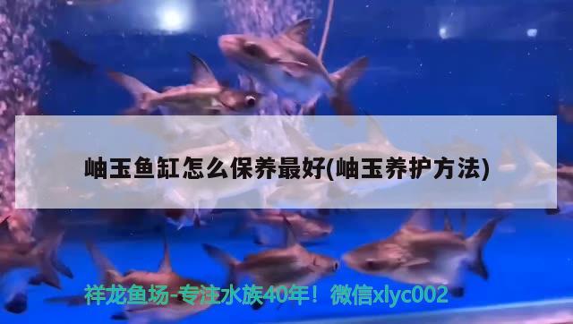 岫玉魚缸怎么保養(yǎng)最好(岫玉養(yǎng)護(hù)方法) 銀龍魚苗 第1張