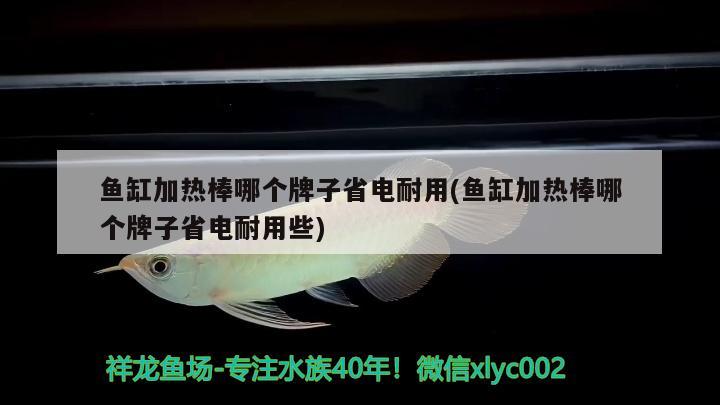 魚缸加熱棒哪個(gè)牌子省電耐用(魚缸加熱棒哪個(gè)牌子省電耐用些) 印尼虎苗