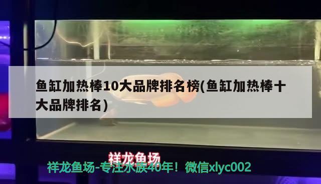 魚缸加熱棒10大品牌排名榜(魚缸加熱棒十大品牌排名) 可麗愛魚缸