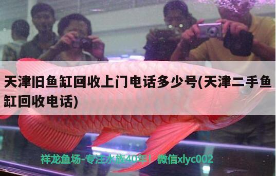 天津舊魚(yú)缸回收上門電話多少號(hào)(天津二手魚(yú)缸回收電話) 黃寬帶蝴蝶魚(yú)