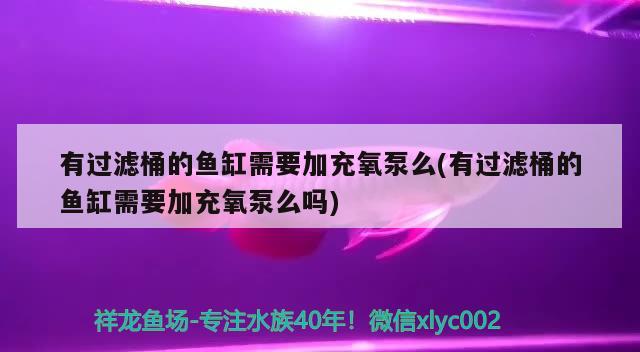 有過濾桶的魚缸需要加充氧泵么(有過濾桶的魚缸需要加充氧泵么嗎)