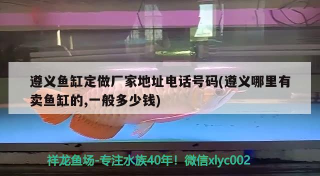 遵義魚缸定做廠家地址電話號碼(遵義哪里有賣魚缸的,一般多少錢) 紅頭利魚 第1張