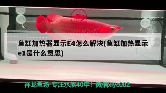 魚缸加熱器顯示E4怎么解決(魚缸加熱顯示e1是什么意思)