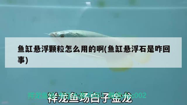 魚(yú)缸懸浮顆粒怎么用的啊(魚(yú)缸懸浮石是咋回事)