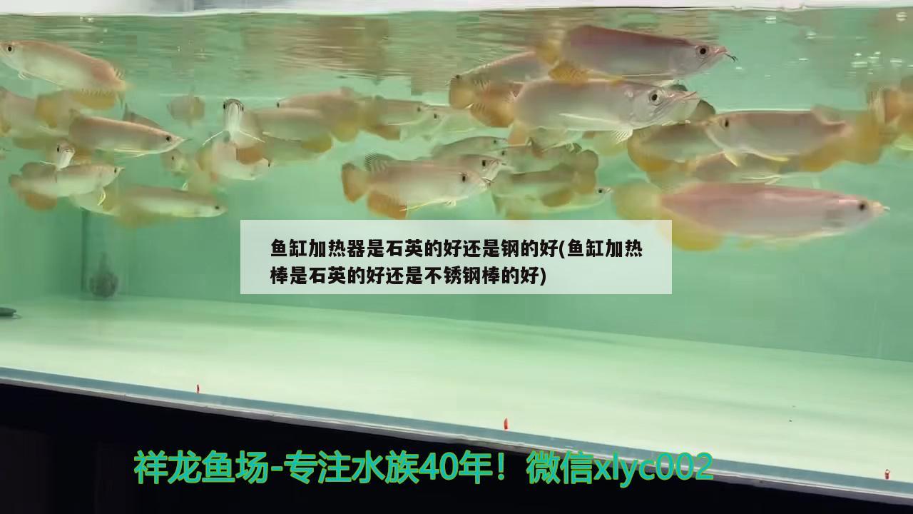 魚缸加熱器是石英的好還是鋼的好(魚缸加熱棒是石英的好還是不銹鋼棒的好) 水草