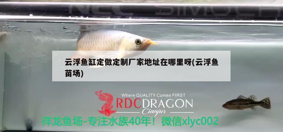 云浮魚缸定做定制廠家地址在哪里呀(云浮魚苗場(chǎng)) 黃金河虎魚