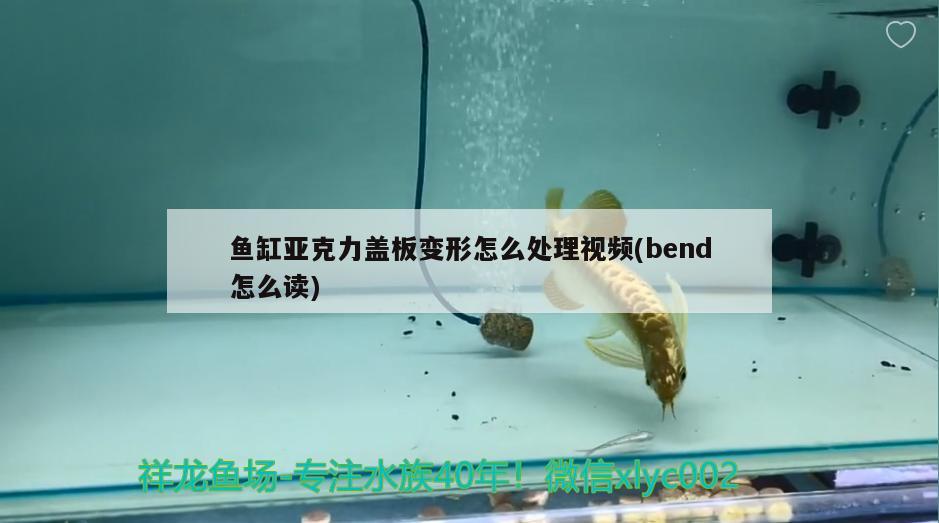 魚缸亞克力蓋板變形怎么處理視頻(bend怎么讀)