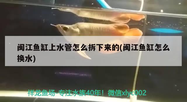 閩江魚缸上水管怎么拆下來的(閩江魚缸怎么換水) 黃金貓魚百科