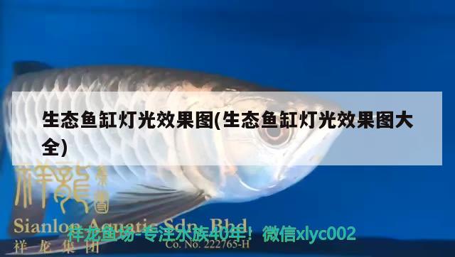 生態(tài)魚缸燈光效果圖(生態(tài)魚缸燈光效果圖大全)