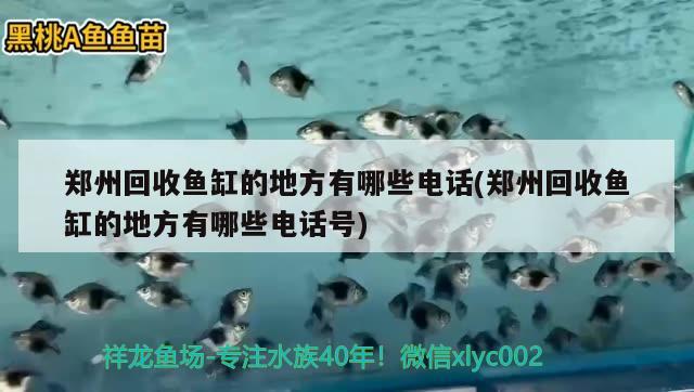 鄭州回收魚缸的地方有哪些電話(鄭州回收魚缸的地方有哪些電話號)