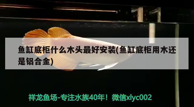 魚缸底柜什么木頭最好安裝(魚缸底柜用木還是鋁合金) 其它水族用具設備