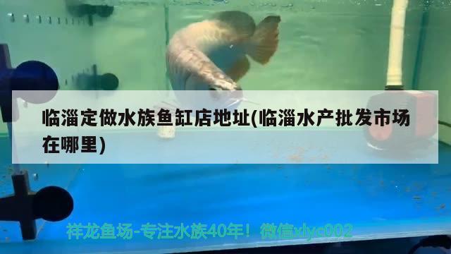 臨淄定做水族魚缸店地址(臨淄水產(chǎn)批發(fā)市場在哪里) 印尼紅龍魚