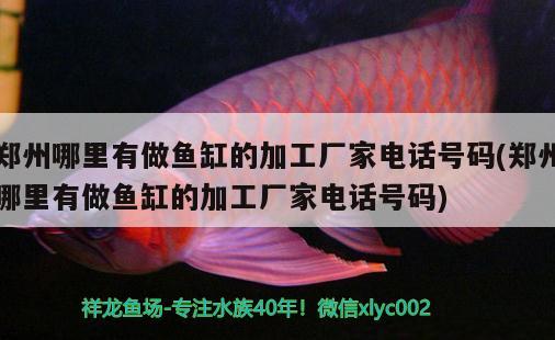 鄭州哪里有做魚缸的加工廠家電話號(hào)碼(鄭州哪里有做魚缸的加工廠家電話號(hào)碼) 黑云魚