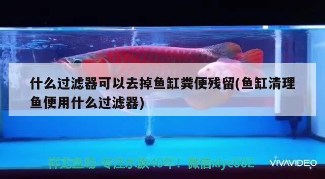 什么過濾器可以去掉魚缸糞便殘留(魚缸清理魚便用什么過濾器)