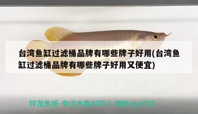 臺(tái)灣魚缸過濾桶品牌有哪些牌子好用(臺(tái)灣魚缸過濾桶品牌有哪些牌子好用又便宜)