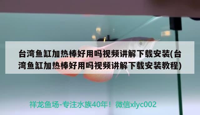 臺灣魚缸加熱棒好用嗎視頻講解下載安裝(臺灣魚缸加熱棒好用嗎視頻講解下載安裝教程) 非洲象鼻魚