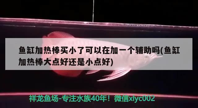 魚缸加熱棒買小了可以在加一個輔助嗎(魚缸加熱棒大點好還是小點好) 黃金夢幻雷龍魚 第2張