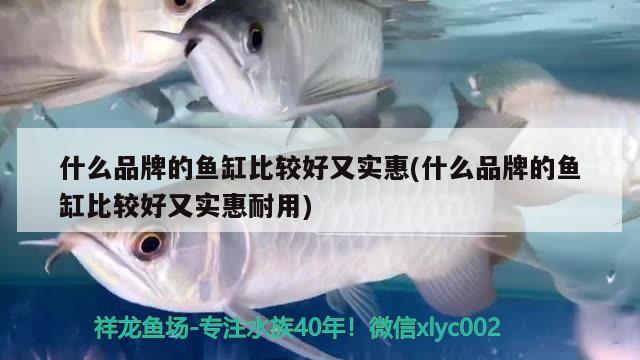 什么品牌的魚缸比較好又實惠(什么品牌的魚缸比較好又實惠耐用)