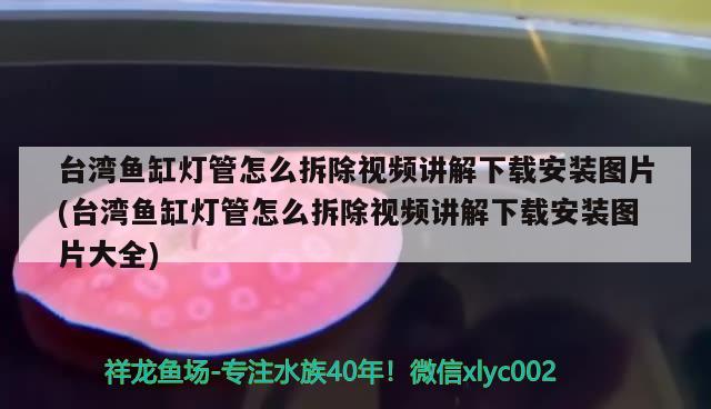 臺灣魚缸燈管怎么拆除視頻講解下載安裝圖片(臺灣魚缸燈管怎么拆除視頻講解下載安裝圖片大全) 黃金貓魚百科