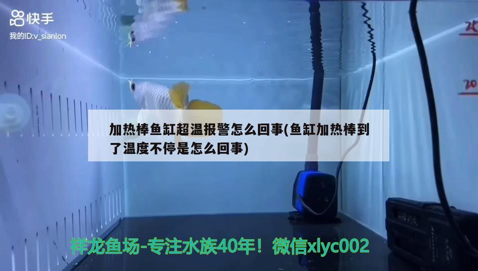 加熱棒魚缸超溫報警怎么回事(魚缸加熱棒到了溫度不停是怎么回事) 帝王迷宮