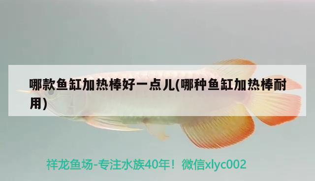 哪款魚缸加熱棒好一點兒(哪種魚缸加熱棒耐用) 喂食器