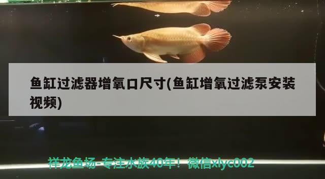 魚缸過濾器增氧口尺寸(魚缸增氧過濾泵安裝視頻)