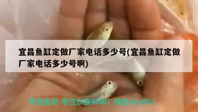 宜昌魚缸定做廠家電話多少號(hào)(宜昌魚缸定做廠家電話多少號(hào)啊) 龍魚芯片掃碼器