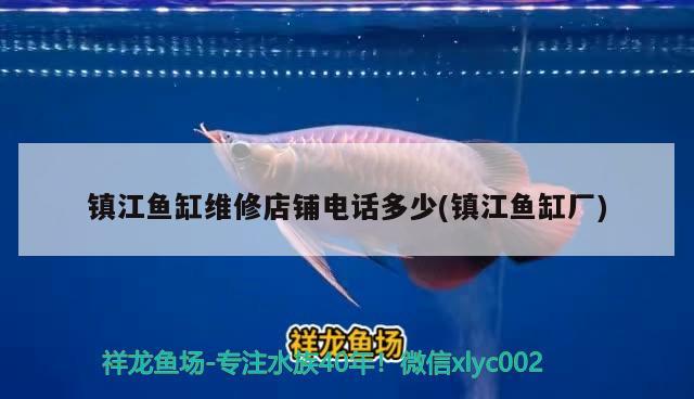 鎮(zhèn)江魚缸維修店鋪電話多少(鎮(zhèn)江魚缸廠)