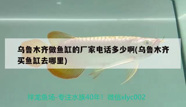 烏魯木齊做魚缸的廠家電話多少啊(烏魯木齊買魚缸去哪里) 白子銀版魚苗