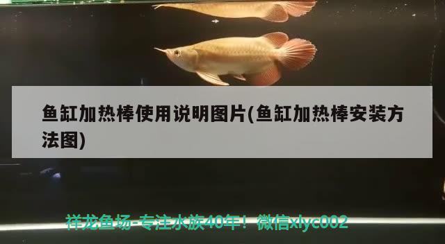 魚缸加熱棒使用說明圖片(魚缸加熱棒安裝方法圖) 龍魚百科