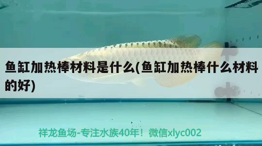 魚缸加熱棒材料是什么(魚缸加熱棒什么材料的好) 黃金貓魚百科