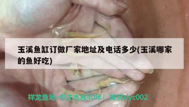 玉溪魚缸訂做廠家地址及電話多少(玉溪哪家的魚好吃) 朱巴利魚