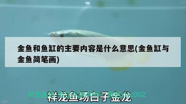 金魚和魚缸的主要內(nèi)容是什么意思(金魚缸與金魚簡筆畫) 鐵甲武士