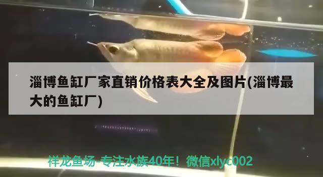 淄博魚缸廠家直銷價格表大全及圖片(淄博最大的魚缸廠)