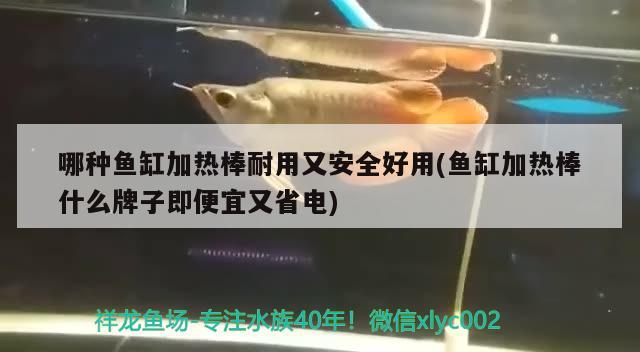 哪種魚缸加熱棒耐用又安全好用(魚缸加熱棒什么牌子即便宜又省電)