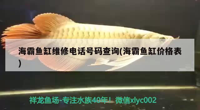 海霸魚缸維修電話號碼查詢(海霸魚缸價(jià)格表)