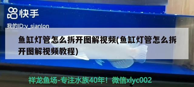 魚缸燈管怎么拆開圖解視頻(魚缸燈管怎么拆開圖解視頻教程)