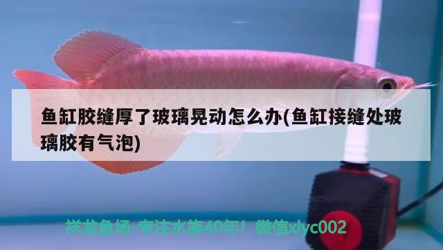 魚缸膠縫厚了玻璃晃動怎么辦(魚缸接縫處玻璃膠有氣泡)