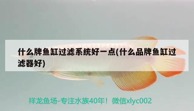 什么牌魚缸過濾系統(tǒng)好一點(什么品牌魚缸過濾器好) 祥龍魚場其他產(chǎn)品