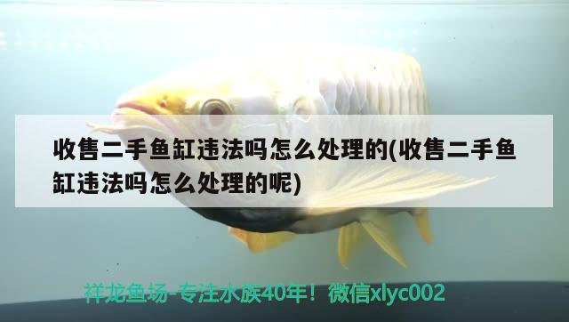 收售二手魚缸違法嗎怎么處理的(收售二手魚缸違法嗎怎么處理的呢)