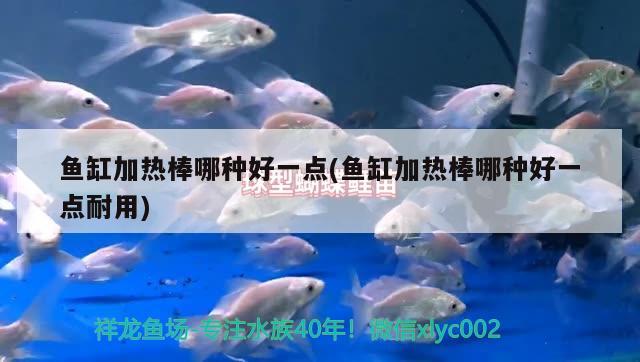 魚缸加熱棒哪種好一點(diǎn)(魚缸加熱棒哪種好一點(diǎn)耐用)